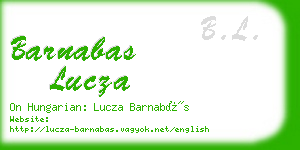 barnabas lucza business card